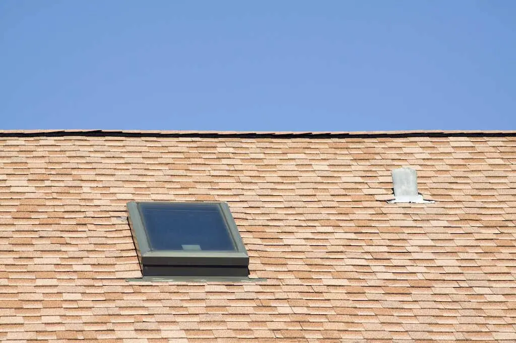 roof cleaning
