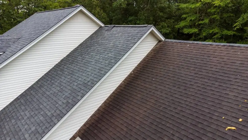 Leaky Roof? Here’s What You Should Do Before It Gets Worse