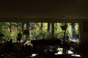 skylight in a sunlit living room