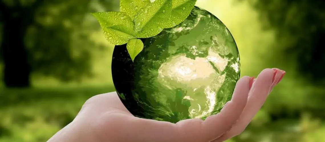 eco friendly roofing