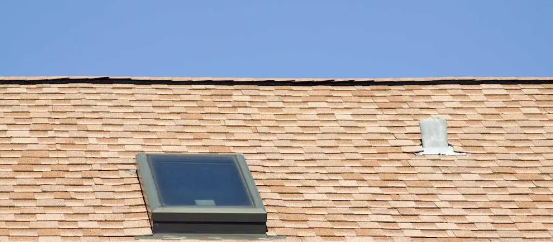 roof cleaning