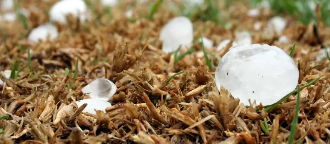 roof damage from hail