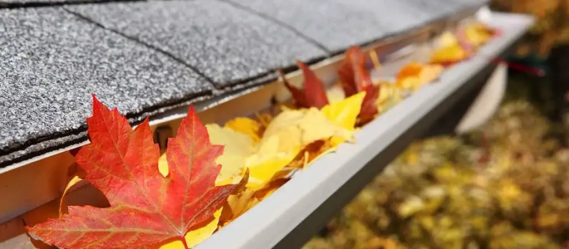 roof maintenance